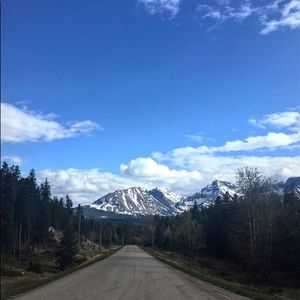 Meet your Posher, Lynette